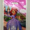 10 pcs Sofia The First Party Loot Bag (Large)