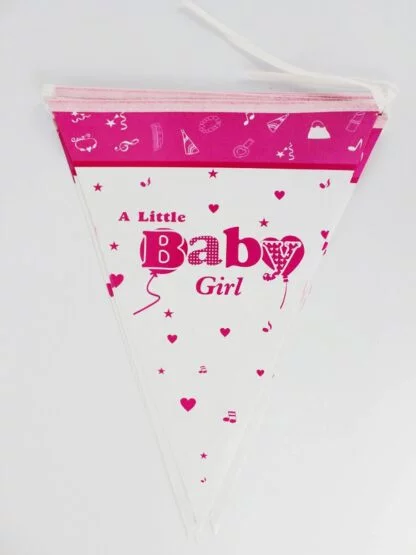 Little Baby Girl Party Flag