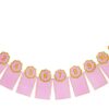 12 months Photo Frame Banner (Pink)