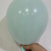 20pcs Macaron Latex Balloon (Tiffany)