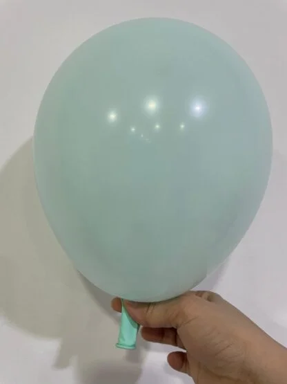 20pcs Macaron Latex Balloon (Tiffany)